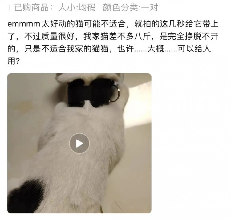 离谱！情趣用品下面的买家秀竟然全是猫猫