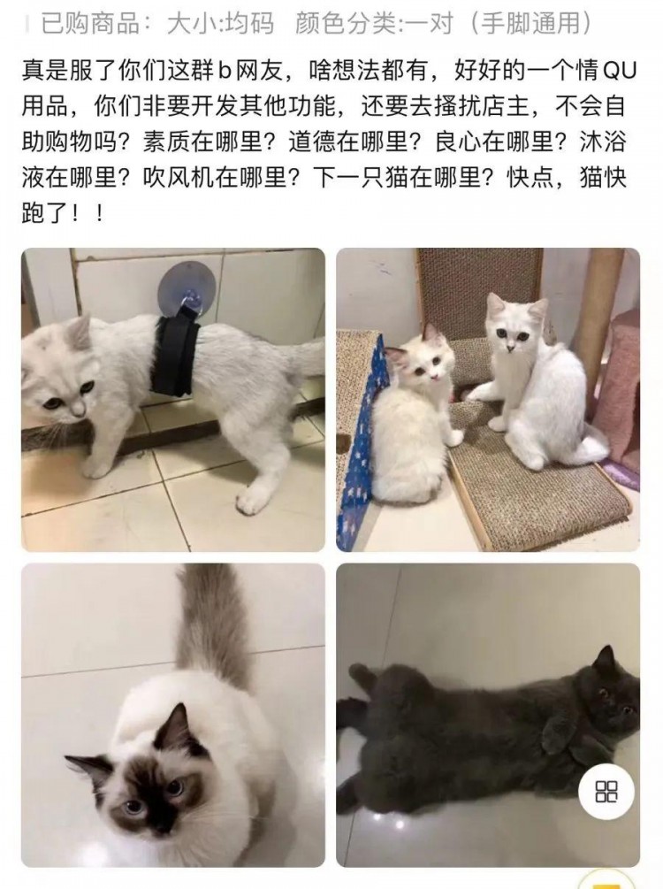 离谱！情趣用品下面的买家秀竟然全是猫猫