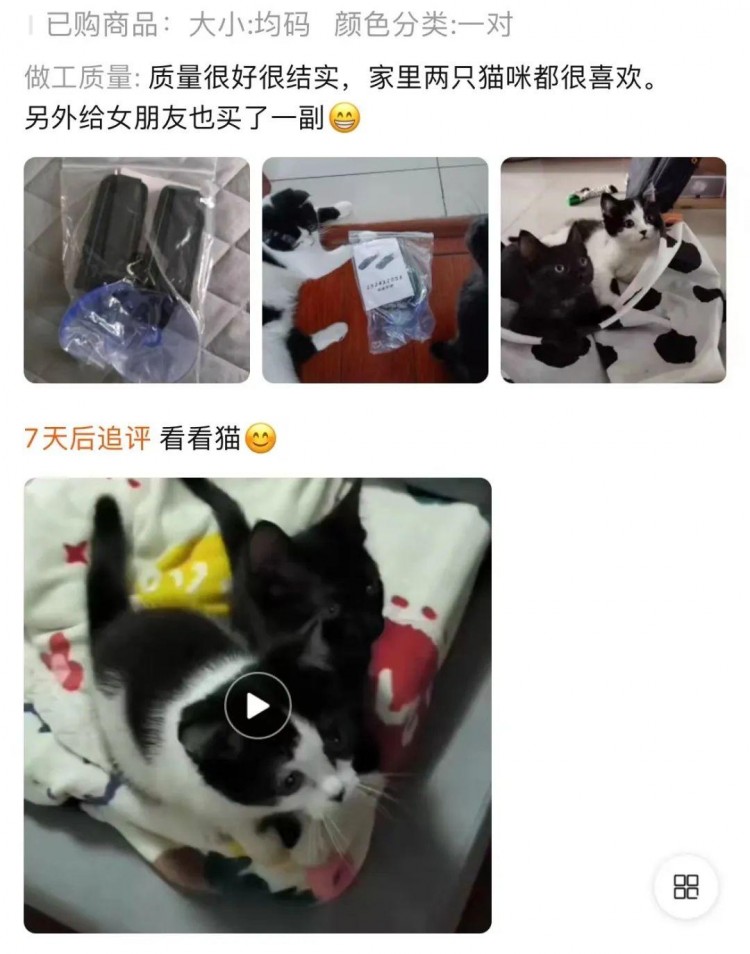 离谱！情趣用品下面的买家秀竟然全是猫猫